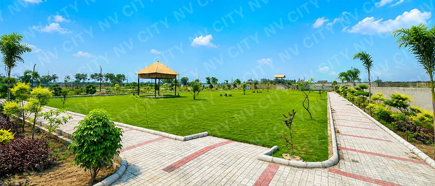 Modern open gymnasium area & park